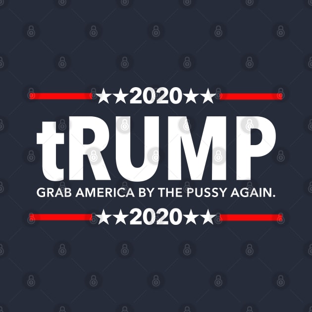 Trump 2020 Grab America By the Pussy Again by Tainted