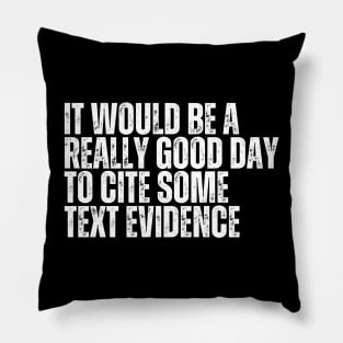 It Would Be A Really Good Day To Cite Some Text Evidence Pillow