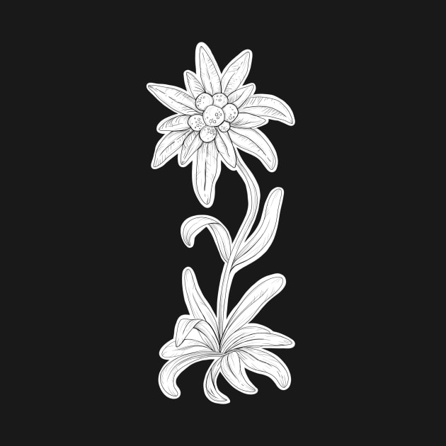 Edelweiss Flower Pen Drawing by emmalouvideos