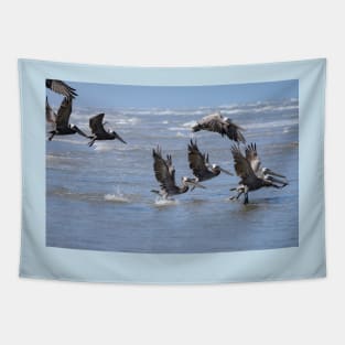 Brown Pelicans Take Flight 2 Tapestry