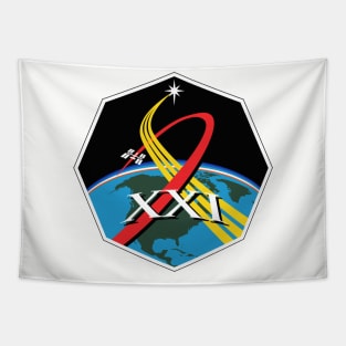 2013 class of NASA emblem Tapestry