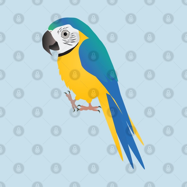 Funny blue and yellow macaw by Bwiselizzy