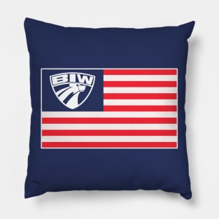 BIW USA Pillow