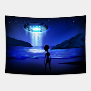 Alien & UFO - 03 Tapestry