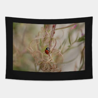 Ladybird Tapestry