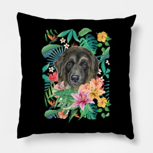 Tropical Caucasian Shepherd Dog Pillow