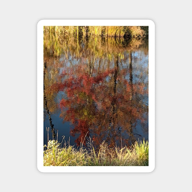 Reflections Magnet by AlbertLotito