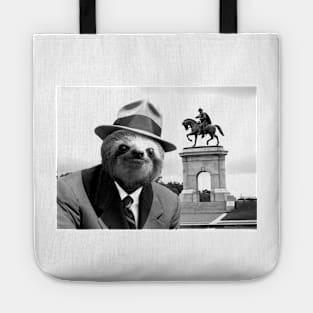 Gentleman Sloth in Houston Tote