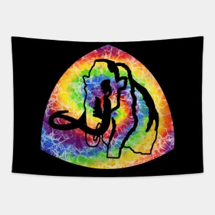 Ice Age Trail National Scenic Trail long distance hiking trail tie dye Tapestry