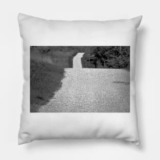 Desolation Road Pillow