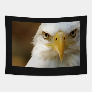 Bald Eagle Tapestry