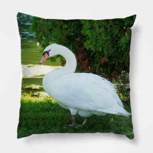 Graceful Swan Standing Under a Tree Pillow