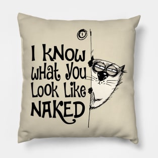 I Know What You Look Like Naked Funny Cat Design Pillow