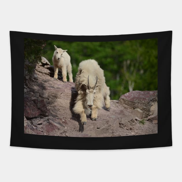 Mountain Goat Nanny and Kid Tapestry by Whisperingpeaks