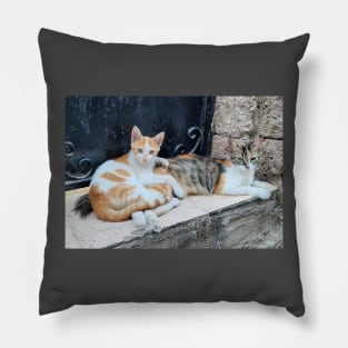 Two cute kittens Pillow