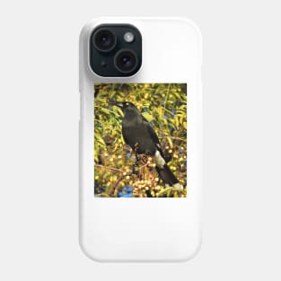 Pied Currawong Phone Case