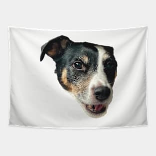 smiling dog funny meme jack russel Tapestry