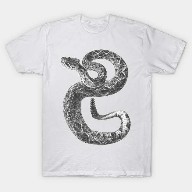 Realistic Reticulated Python Boa Snake Anaconda Eunectes Murinus