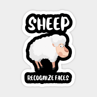 Sheep recognize Faces Animal Facts Magnet