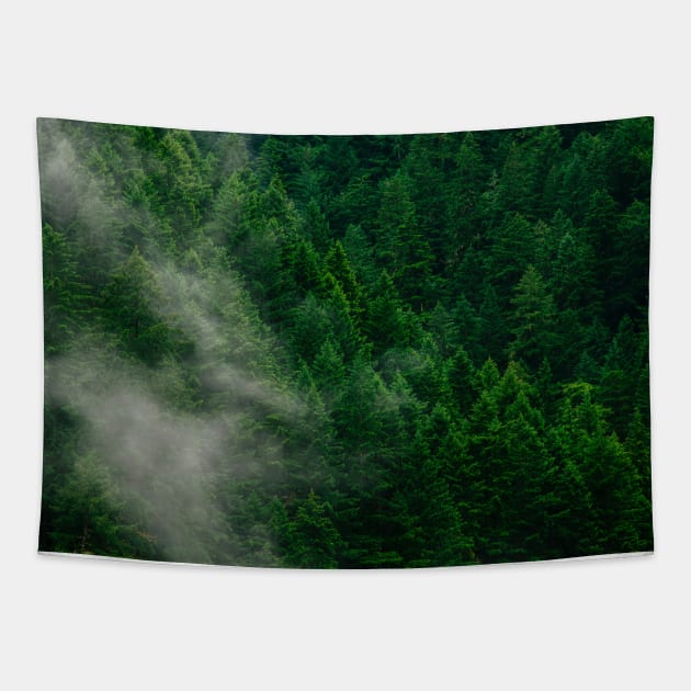 Beauty Forest View Tapestry by Islanr