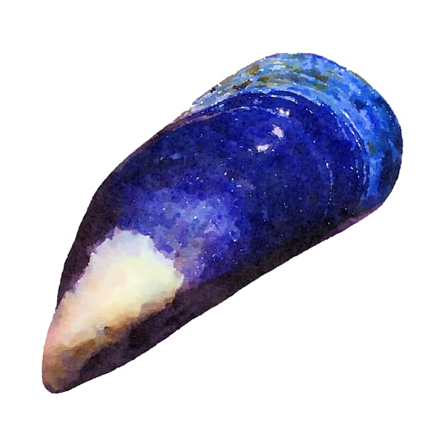 Blue Mussel Shell Beautiful by Griffelkinn