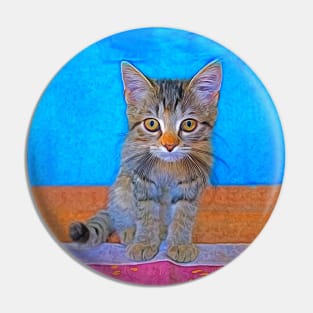 Cute kitten with big eyes Pin