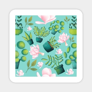 Succulent Plant Party Magnet