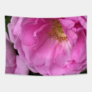 Fragrant Rose Tapestry