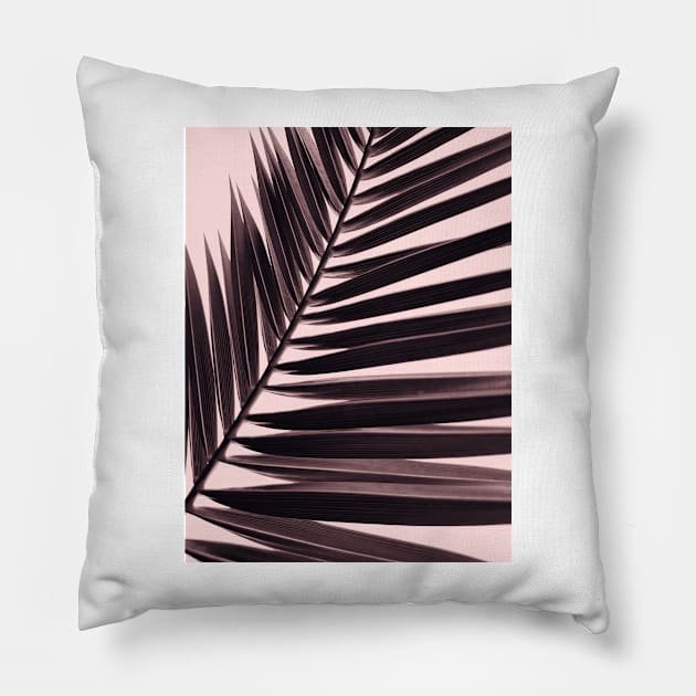 Palm leaf print, nostalgic photography, nature photo Pillow by KINKDesign