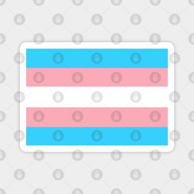 Trans flag Magnet by Trippycollage