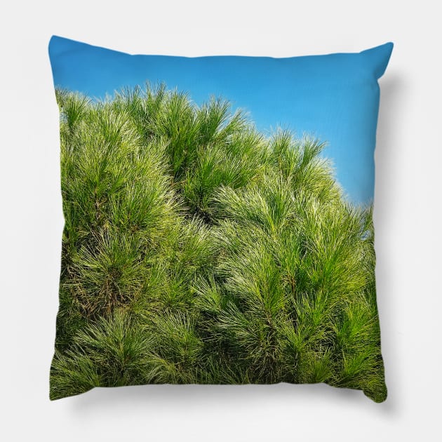 green pine branches Pillow by psychoshadow