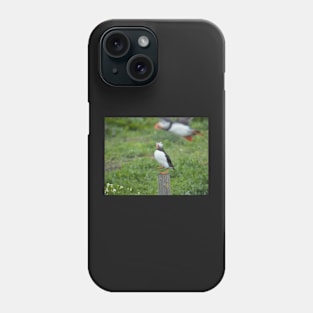 Puffin photobomb Phone Case