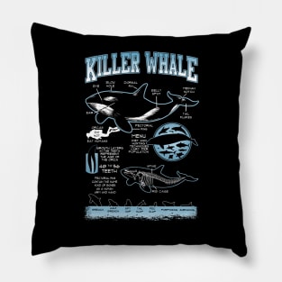 Killer Whale Diagram Physical Characteristics Pillow