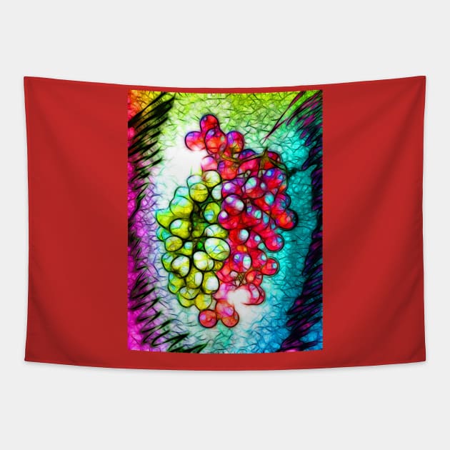 Grapes in Colors Tapestry by danieljanda