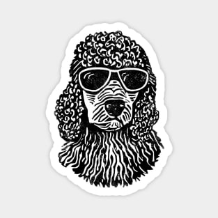 Poodle Magnet