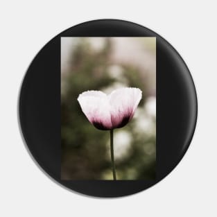 Pink Poppy Pin