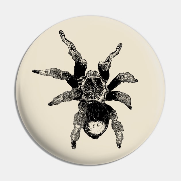 Tarantula Pin by Guardi