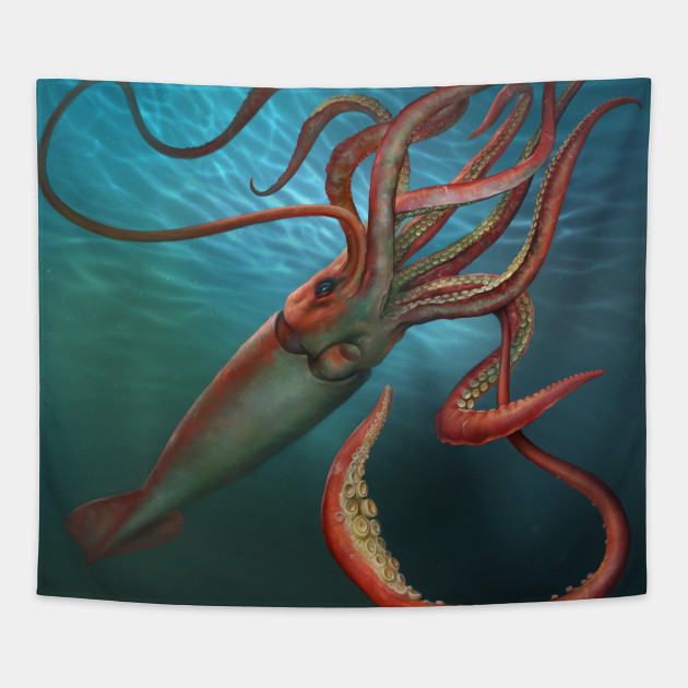 Giant Squid Size Chart