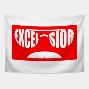 excelsior checked Tapestry