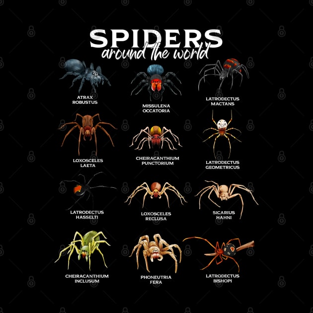 Spiders in the world - types of spiders by Modern Medieval Design