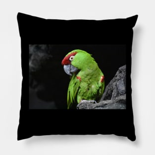 Thick Billed Parrot Pillow