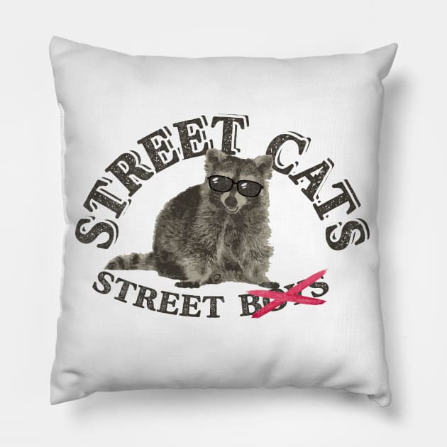 Street Cat Vintage Pillow by Watercoloristic