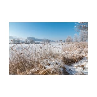 At the Frozen Lake Illmensee - Illmensee, Germany T-Shirt