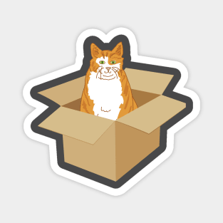 Orange Tabby Cat In A Box Magnet