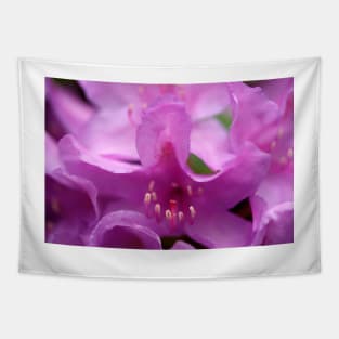 Purple rhododendron flower Tapestry