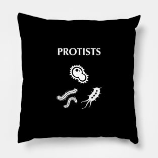 Protists unicellular organisms Pillow