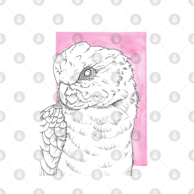 galah cockatoo lineart pink backgroud portrait watercolor by Oranjade0122