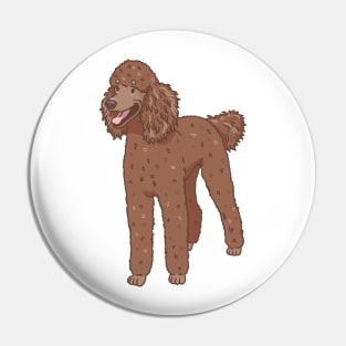 Chocolate Standard Poodle Pin