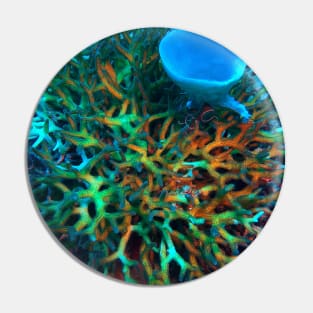 Staghorn coral Pin