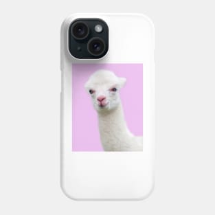 Baby Alpaca with pink background Phone Case